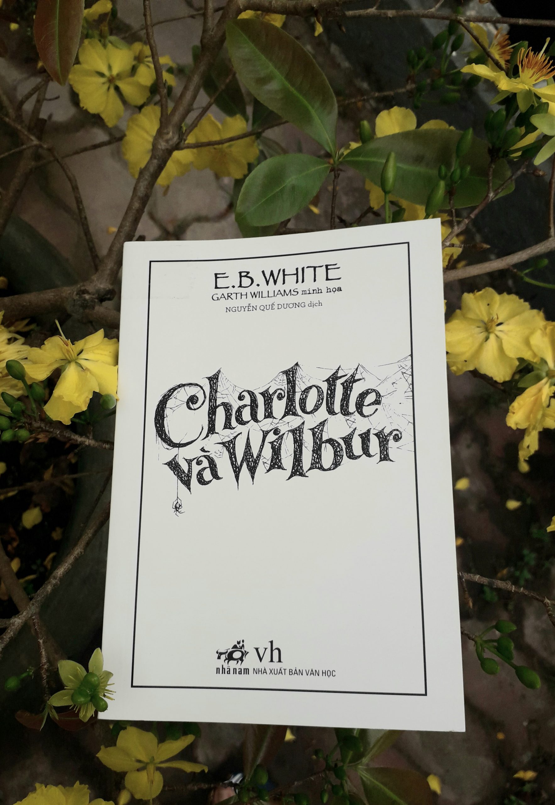 CHARLOTTE VÀ WILBUR